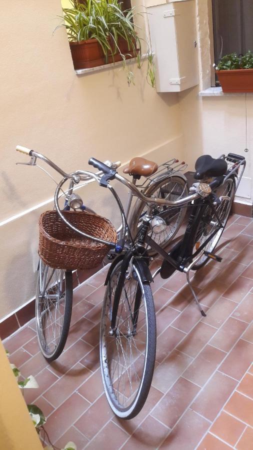 Giardino Segreto - History And Design Apartment Bologna Luaran gambar